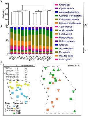 Biochar Addition Altered Bacterial Community and Improved Photosynthetic Rate of Seagrass: A Mesocosm Study of Seagrass <mark class="highlighted">Thalassia hemprichii</mark>